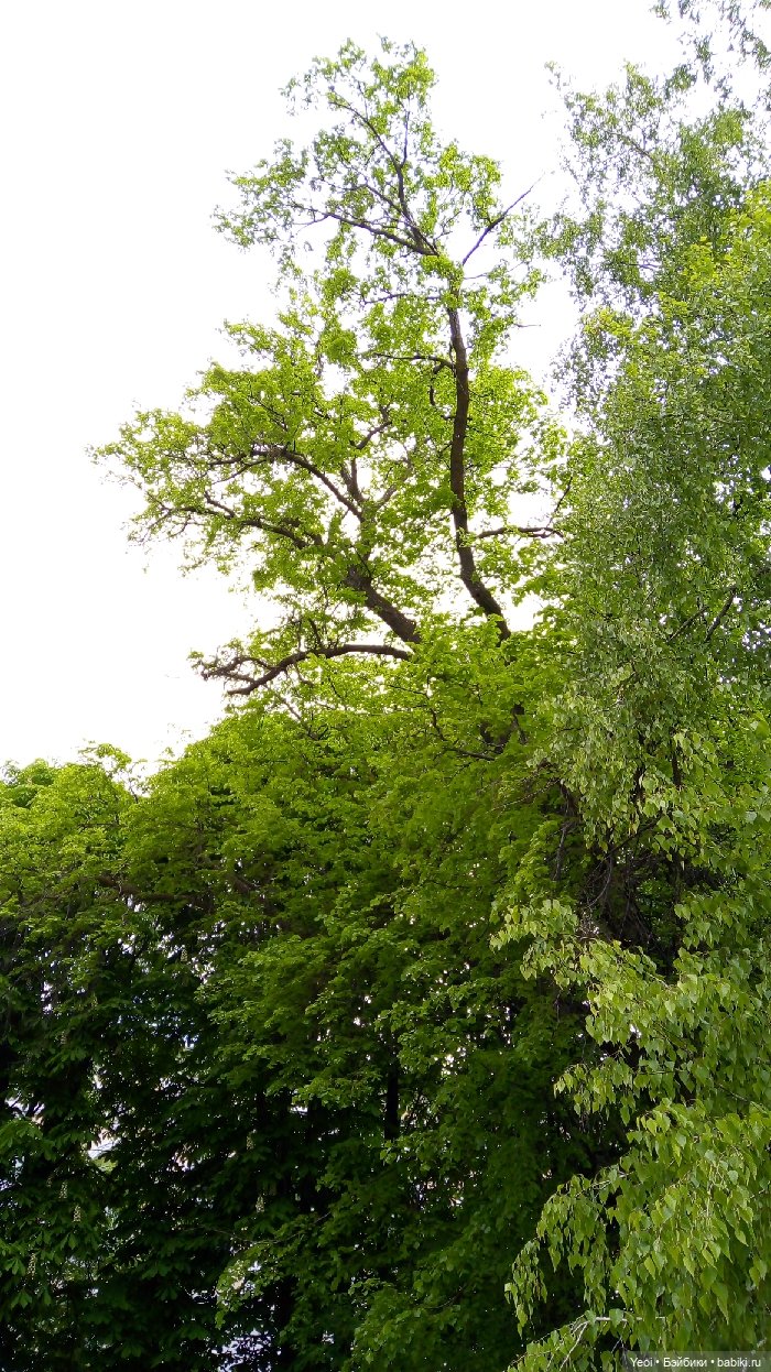 Хантер от Эвер Афтер Хай (ЭАХ) 01