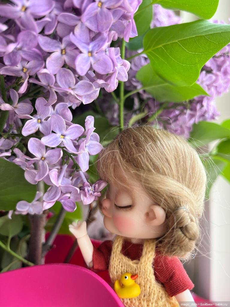 Зоя ob11 — Куклы и тела Obitsu 11 (Ob11): гибриды (фото 2)