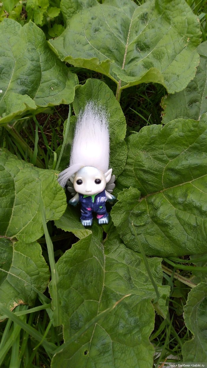 Взяли Зельфа (Zelf) на прогулку) (фото 5)