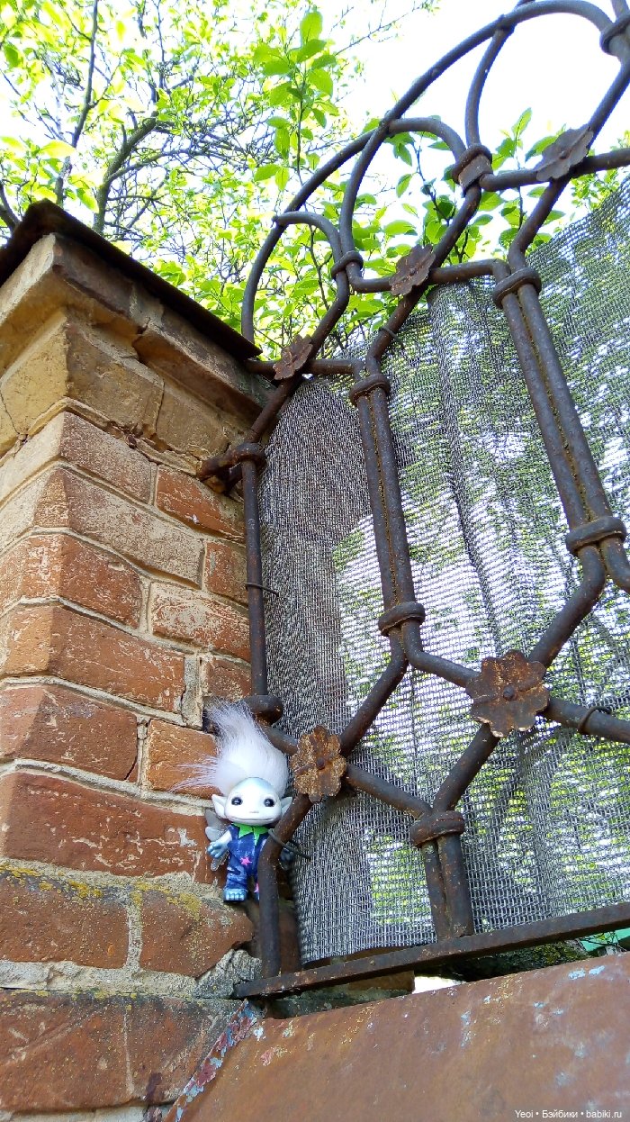 Взяли Зельфа (Zelf) на прогулку) (фото 10)