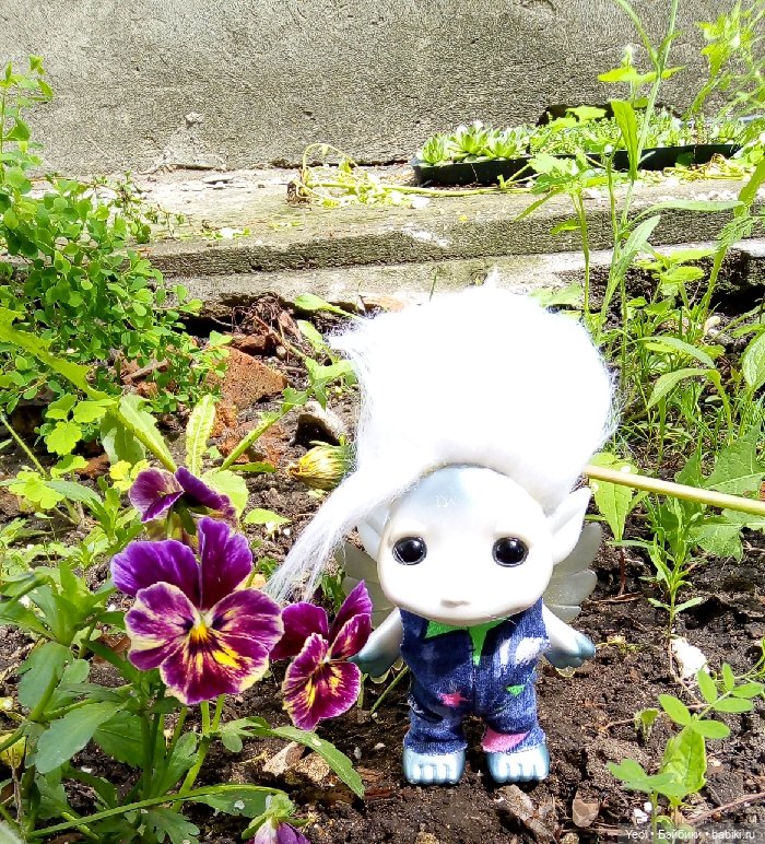 Взяли Зельфа (Zelf) на прогулку)