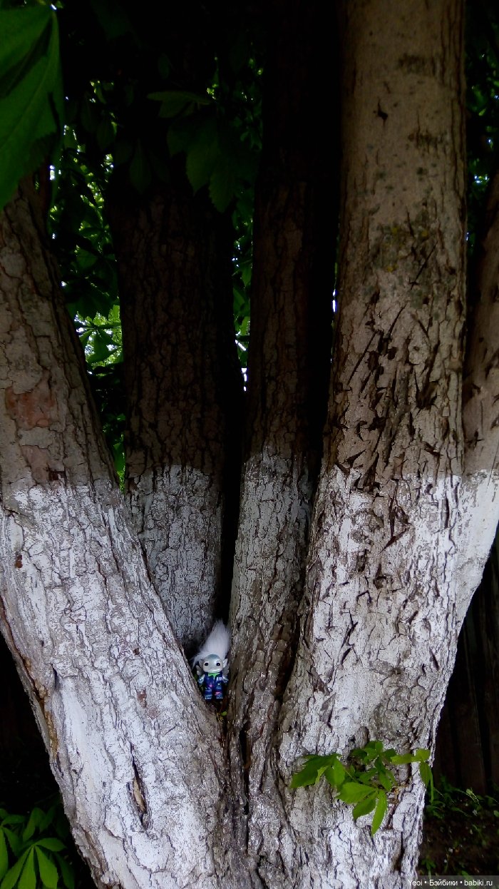 Взяли Зельфа (Zelf) на прогулку)