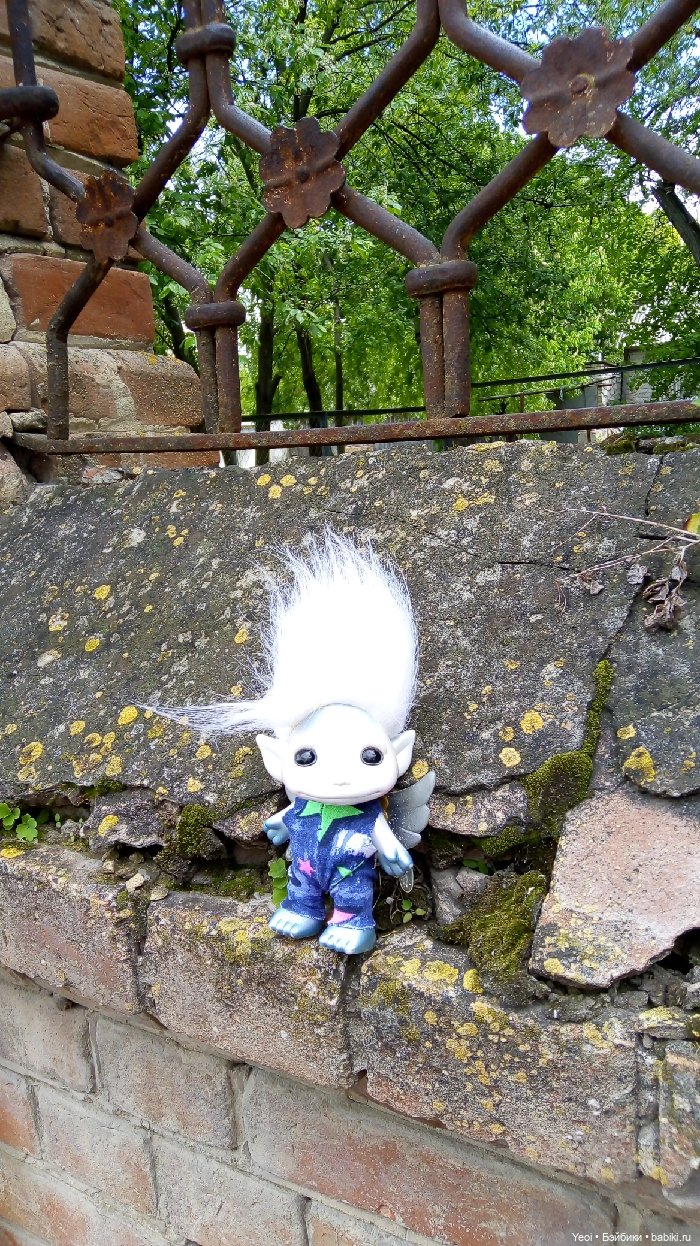 Взяли Зельфа (Zelf) на прогулку)