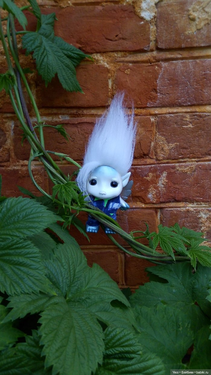 Взяли Зельфа (Zelf) на прогулку)