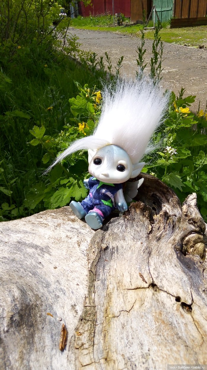 Взяли Зельфа (Zelf) на прогулку)