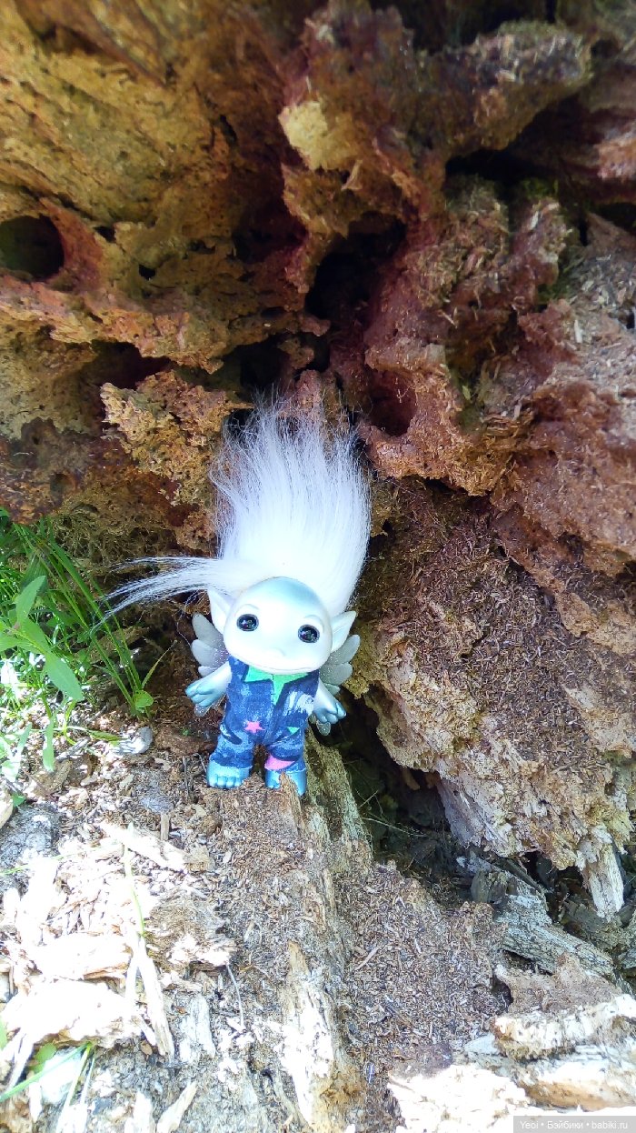 Взяли Зельфа (Zelf) на прогулку)