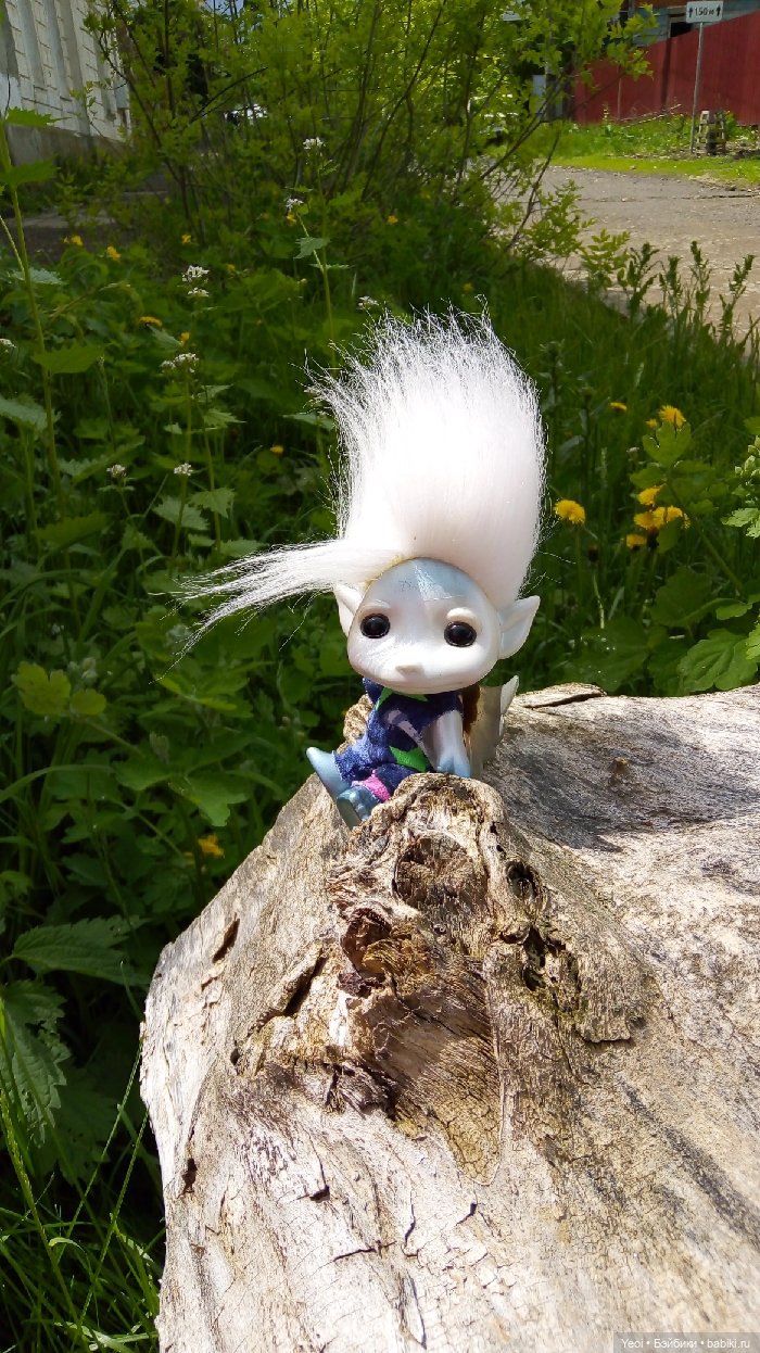 Взяли Зельфа (Zelf) на прогулку)