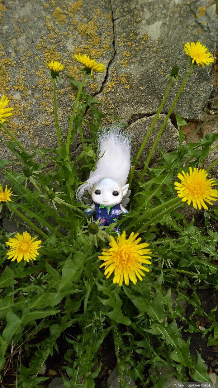 Взяли Зельфа (Zelf) на прогулку)