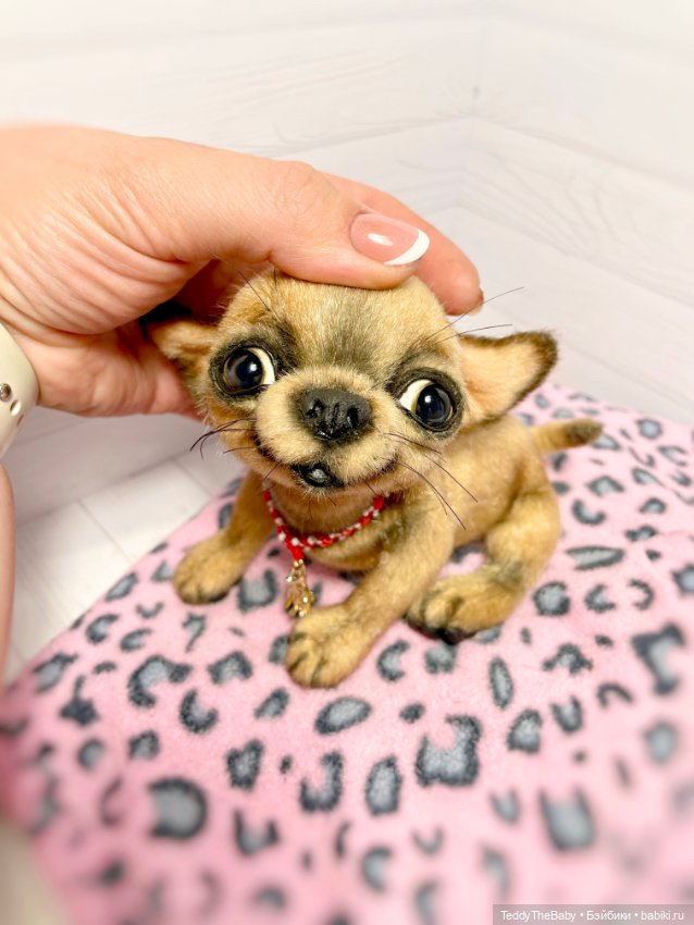 Škodi🐾🐶17 см чихуашик — Реалистичные игрушки и звери (Натюр): собаки