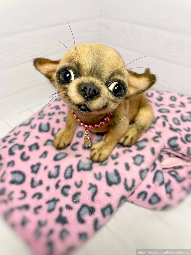 Škodi🐾🐶17 см чихуашик — Реалистичные игрушки и звери (Натюр): собаки (фото 4)