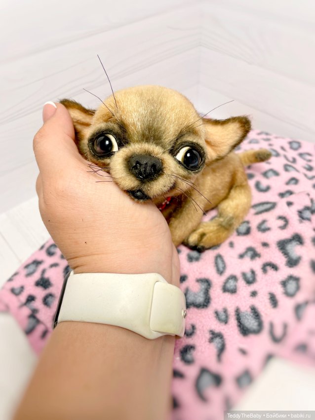 Škodi🐾🐶17 см чихуашик — Реалистичные игрушки и звери (Натюр): собаки