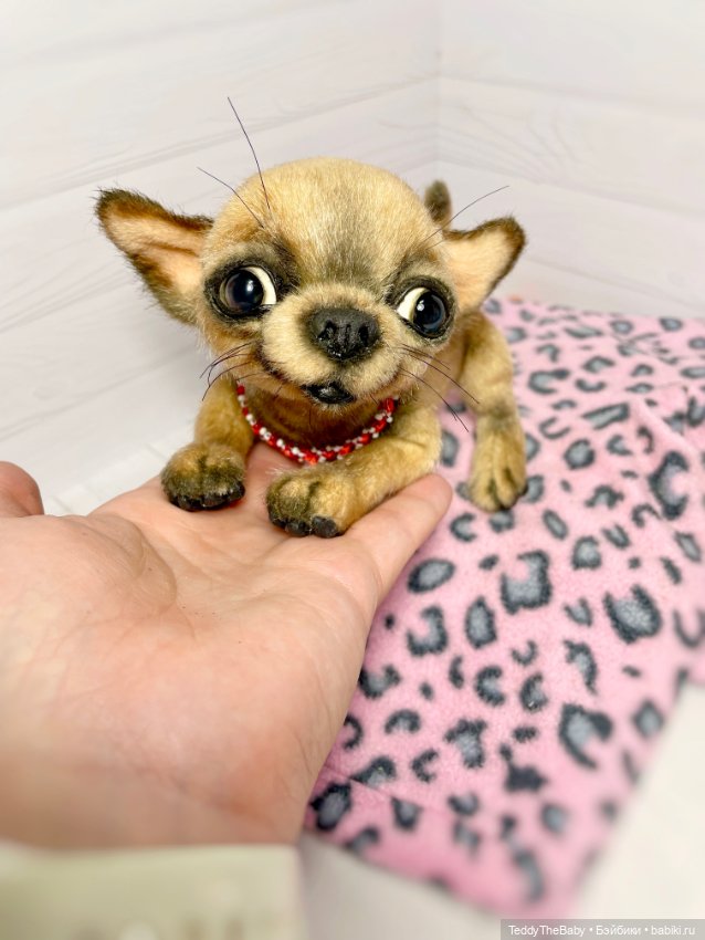 Škodi🐾🐶17 см чихуашик — Реалистичные игрушки и звери (Натюр): собаки (фото 7)
