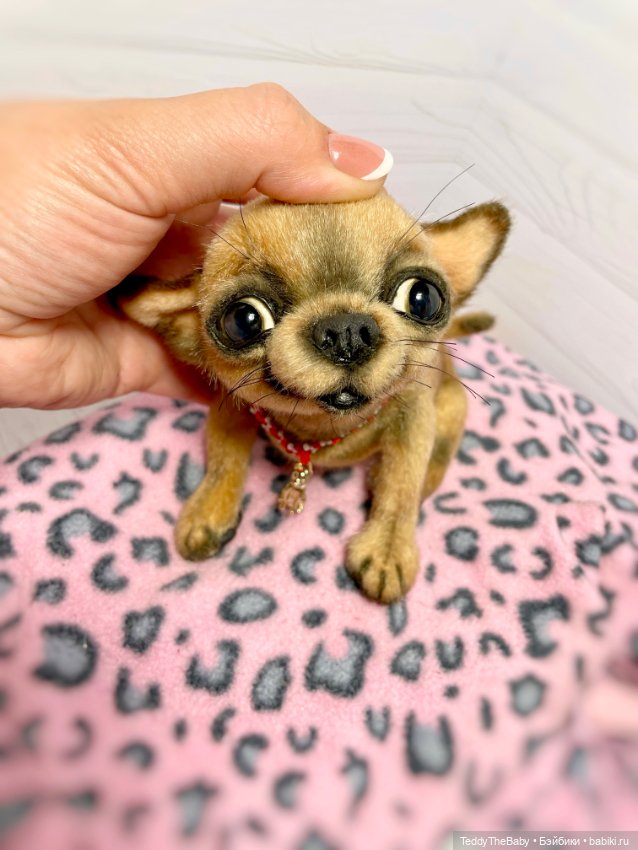 Škodi🐾🐶17 см чихуашик — Реалистичные игрушки и звери (Натюр): собаки
