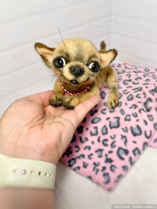 Škodi🐾🐶17 см чихуашик — Реалистичные игрушки и звери (Натюр): собаки (фото 8)