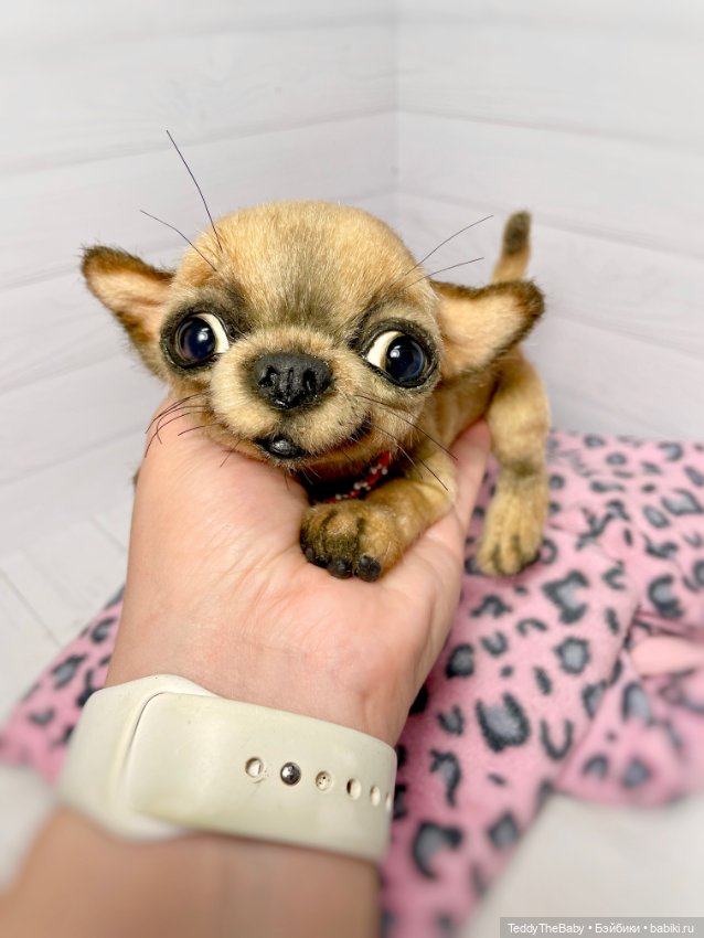 Škodi🐾🐶17 см чихуашик — Реалистичные игрушки и звери (Натюр): собаки (фото 9)