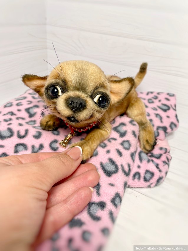 Škodi🐾🐶17 см чихуашик — Реалистичные игрушки и звери (Натюр): собаки (фото 5)