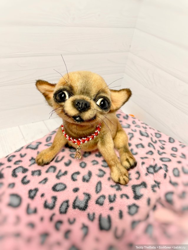 Škodi🐾🐶17 см чихуашик — Реалистичные игрушки и звери (Натюр): собаки (фото 10)