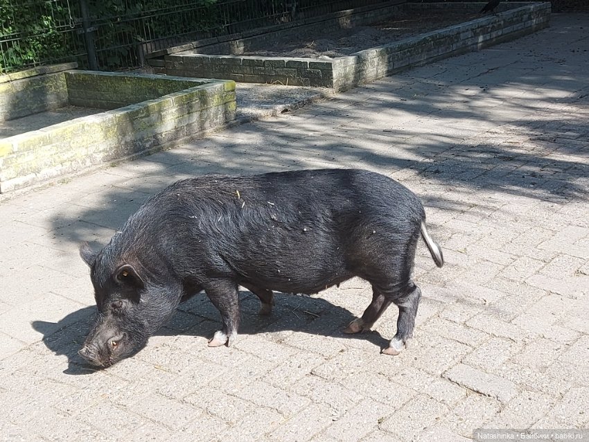 Fashion Dolls 363 — Туризм и путешествия: фотоотчеты из поездок (фото 7)