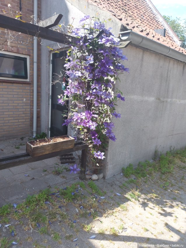 Fashion Dolls 363 — Туризм и путешествия: фотоотчеты из поездок (фото 5)