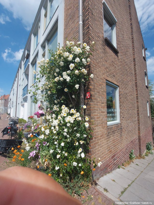 Fashion Dolls 363 — Туризм и путешествия: фотоотчеты из поездок