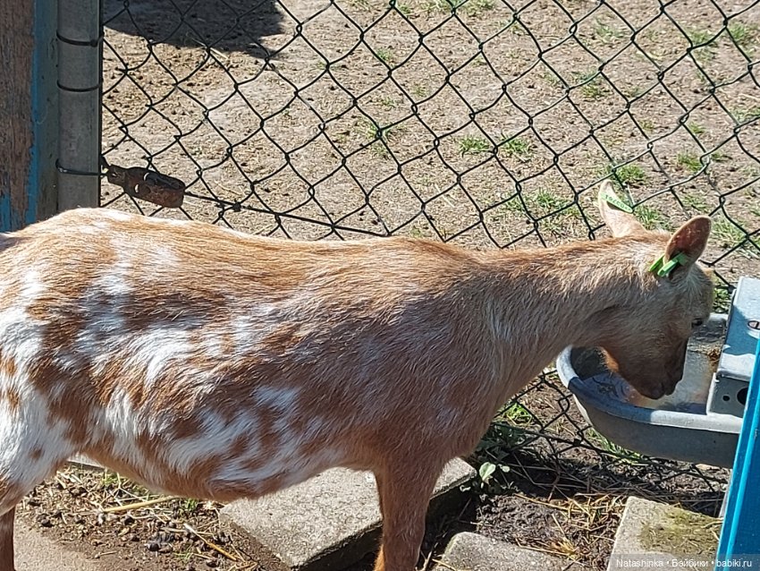 Fashion Dolls 363 — Туризм и путешествия: фотоотчеты из поездок (фото 8)