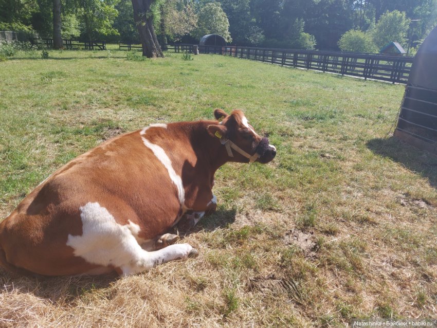 Fashion Dolls 363 — Туризм и путешествия: фотоотчеты из поездок (фото 6)