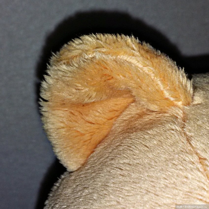 ...Винни Пух и все-все-все