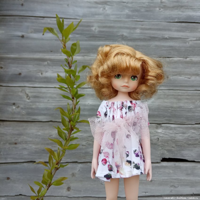 Волшебная весна — Азиатские виниловые куклы (разное): Китай