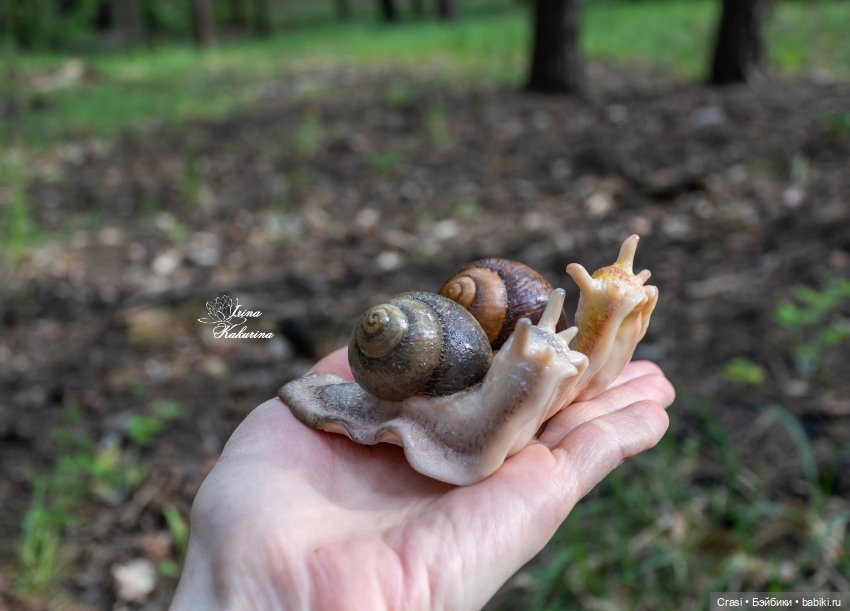 Послушные улиточки: — Другие хобби и увлечения: сад (фото 6)