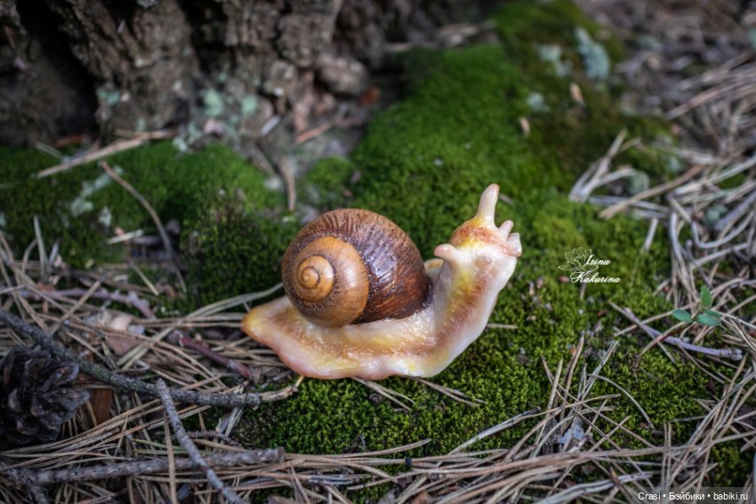 Послушные улиточки: — Другие хобби и увлечения: сад (фото 5)