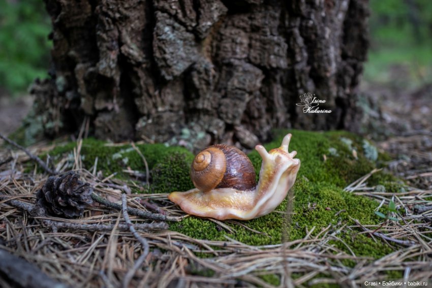 Послушные улиточки: — Другие хобби и увлечения: сад (фото 4)