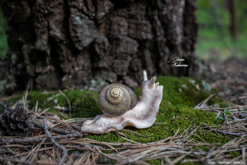 Послушные улиточки: — Другие хобби и увлечения: сад (фото 3)