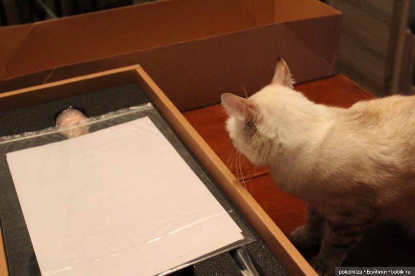 Долгожданная — Куклы Iplehouse (Иплхаус): BJD (БЖД) (фото 2)