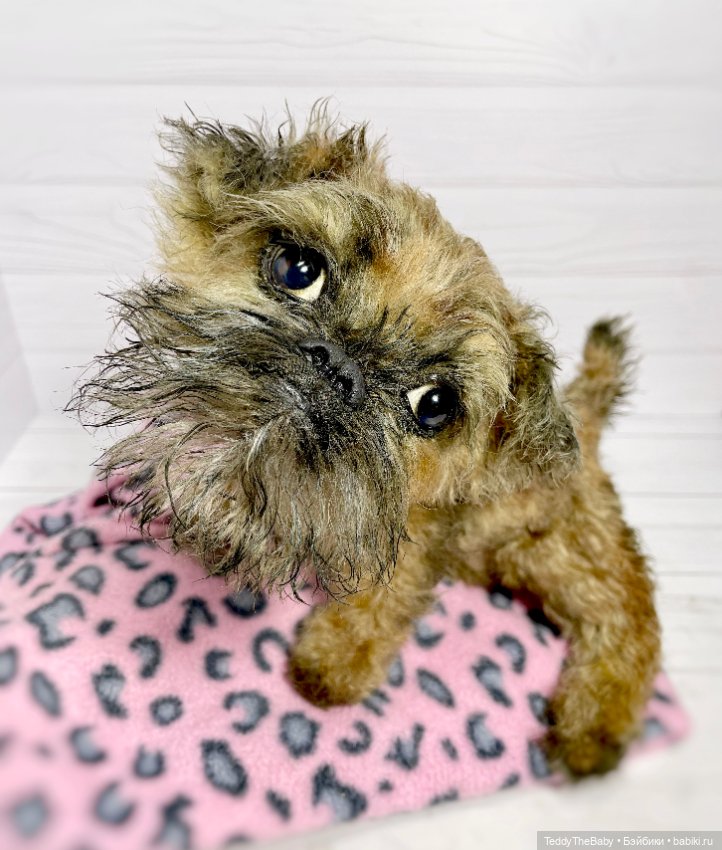 Глаша гриффоняша 🐾🐶20 см — Реалистичные игрушки и звери (Натюр): собаки