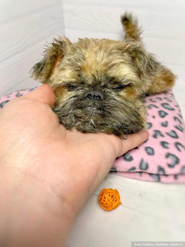 Глаша гриффоняша 🐾🐶20 см — Реалистичные игрушки и звери (Натюр): собаки