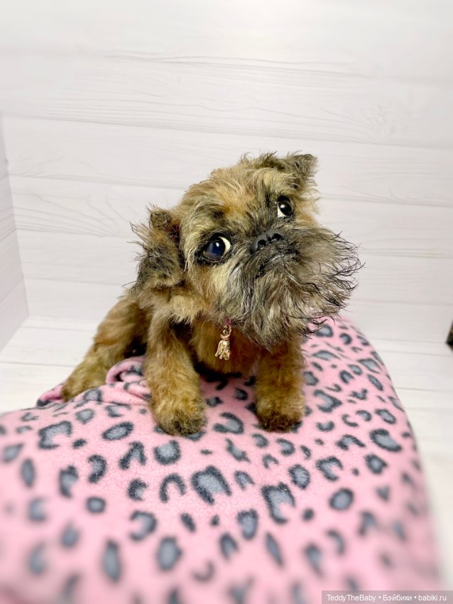 Глаша гриффоняша 🐾🐶20 см — Реалистичные игрушки и звери (Натюр): собаки (фото 10)