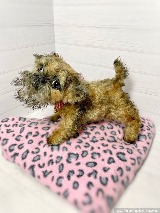 Глаша гриффоняша 🐾🐶20 см — Реалистичные игрушки и звери (Натюр): собаки