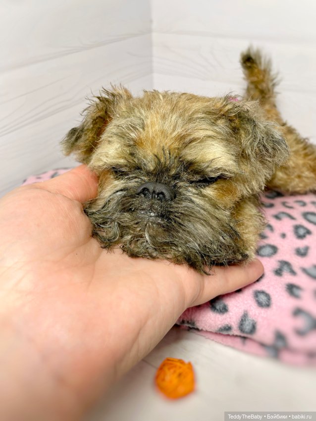 Глаша гриффоняша 🐾🐶20 см — Реалистичные игрушки и звери (Натюр): собаки