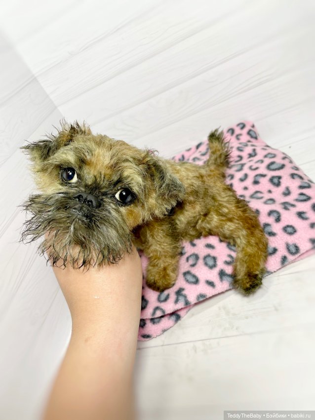 Глаша гриффоняша 🐾🐶20 см — Реалистичные игрушки и звери (Натюр): собаки