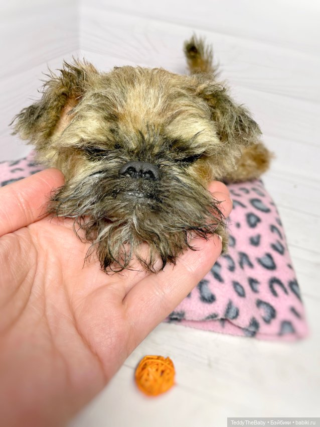 Глаша гриффоняша 🐾🐶20 см — Реалистичные игрушки и звери (Натюр): собаки