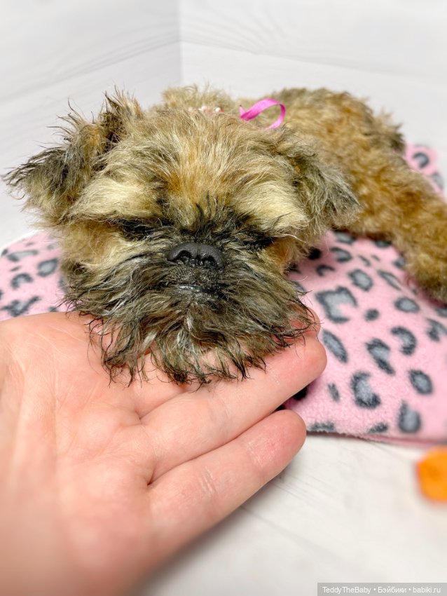 Глаша гриффоняша 🐾🐶20 см — Реалистичные игрушки и звери (Натюр): собаки