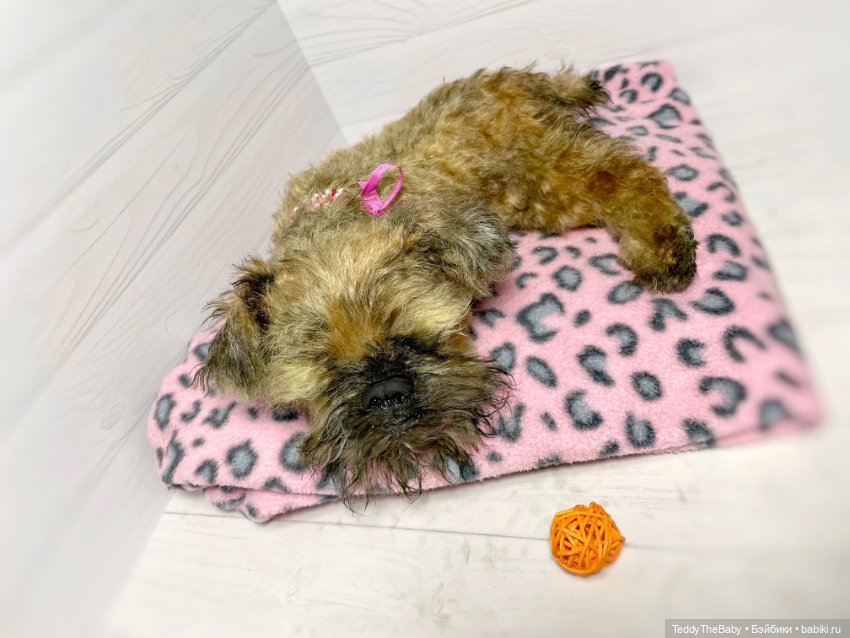 Глаша гриффоняша 🐾🐶20 см — Реалистичные игрушки и звери (Натюр): собаки