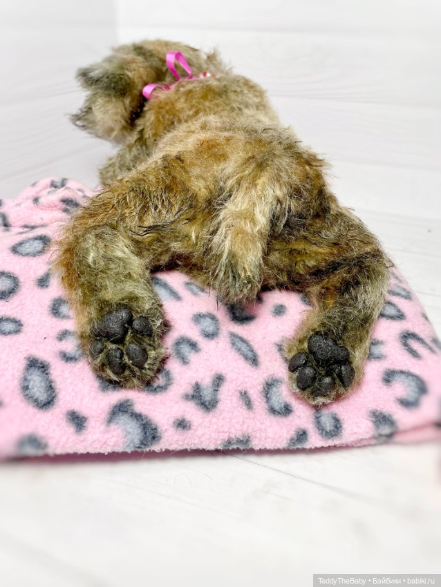 Глаша гриффоняша 🐾🐶20 см — Реалистичные игрушки и звери (Натюр): собаки