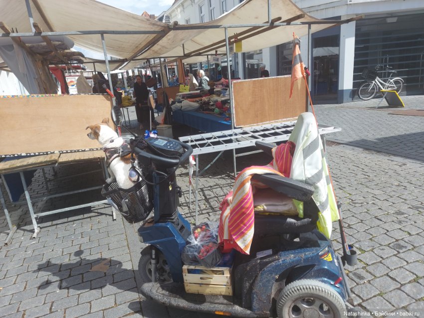 Fashion Dolls 368 — Туризм и путешествия: фотоотчеты из поездок