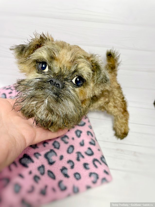 Глаша гриффоняша 🐾🐶20 см — Реалистичные игрушки и звери (Натюр): собаки