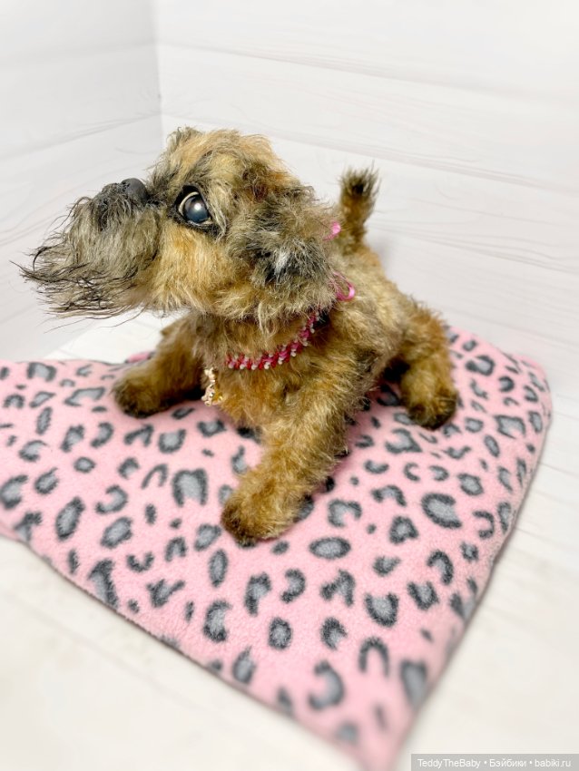 Глаша гриффоняша 🐾🐶20 см — Реалистичные игрушки и звери (Натюр): собаки (фото 8)