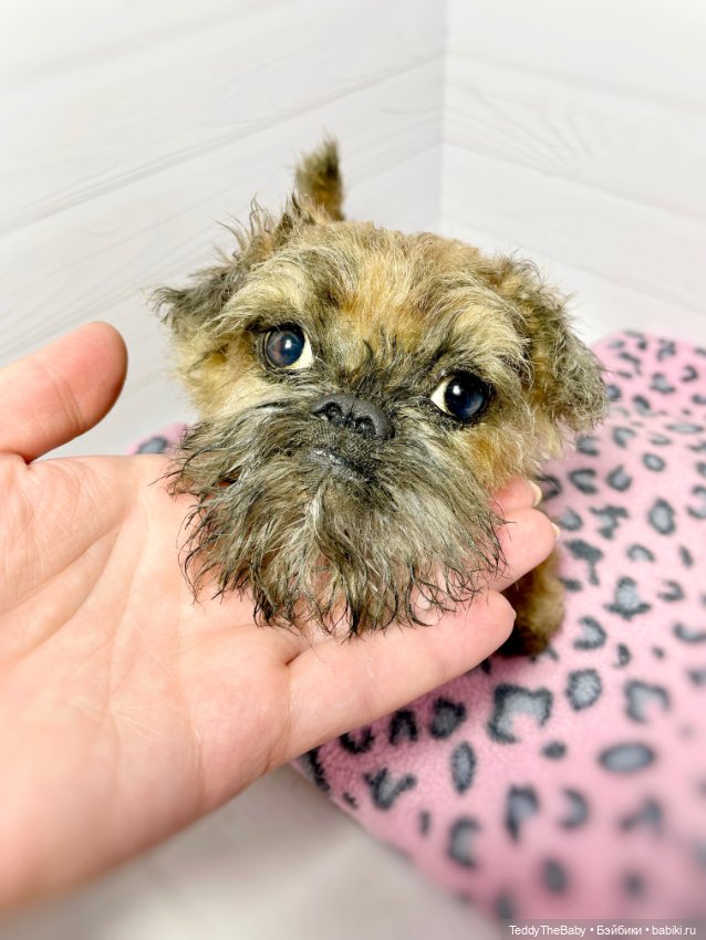 Глаша гриффоняша 🐾🐶20 см — Реалистичные игрушки и звери (Натюр): собаки (фото 4)