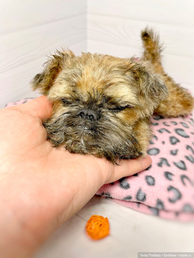 Глаша гриффоняша 🐾🐶20 см — Реалистичные игрушки и звери (Натюр): собаки