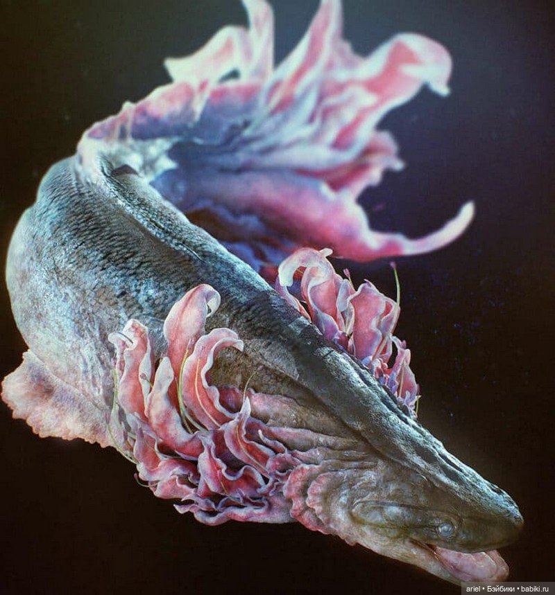 Удивительные работы от Юки Морита (Yuuki Morita) (фото 8)