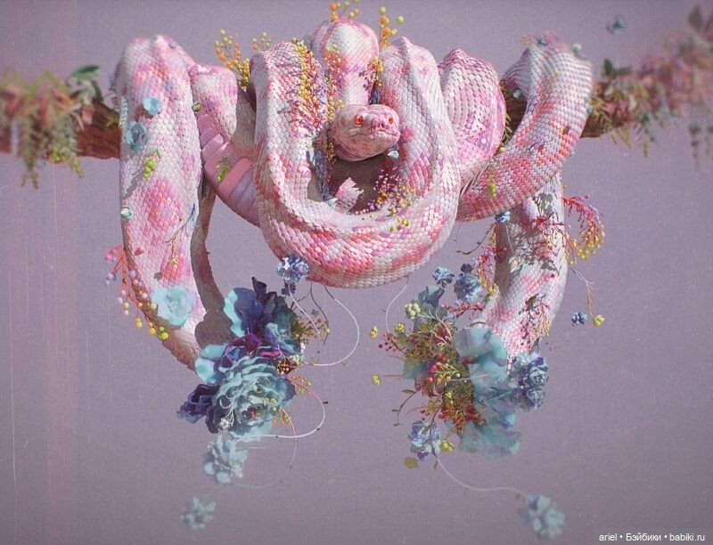 Удивительные работы от Юки Морита (Yuuki Morita) (фото 4)